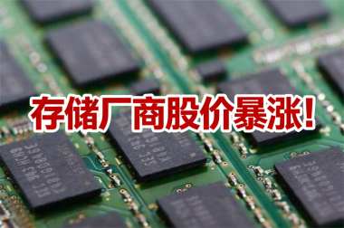 存储厂商股价暴涨！